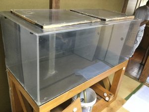 【未使用】特注オーバーフロー水槽 600x450x300ｍｍ+水槽台 オーバーフロー式 水槽セット W900×D450×H450 | オーバーフロー