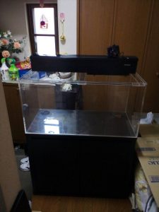 エルモ　90cm水槽　水槽台　上部フィルター 楽天市場】GEX 上部フィルター グランデ 900 90cm水槽