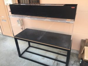 兵庫県神戸市のお客様よりカンテツ150cmアクリル水槽、レイシー