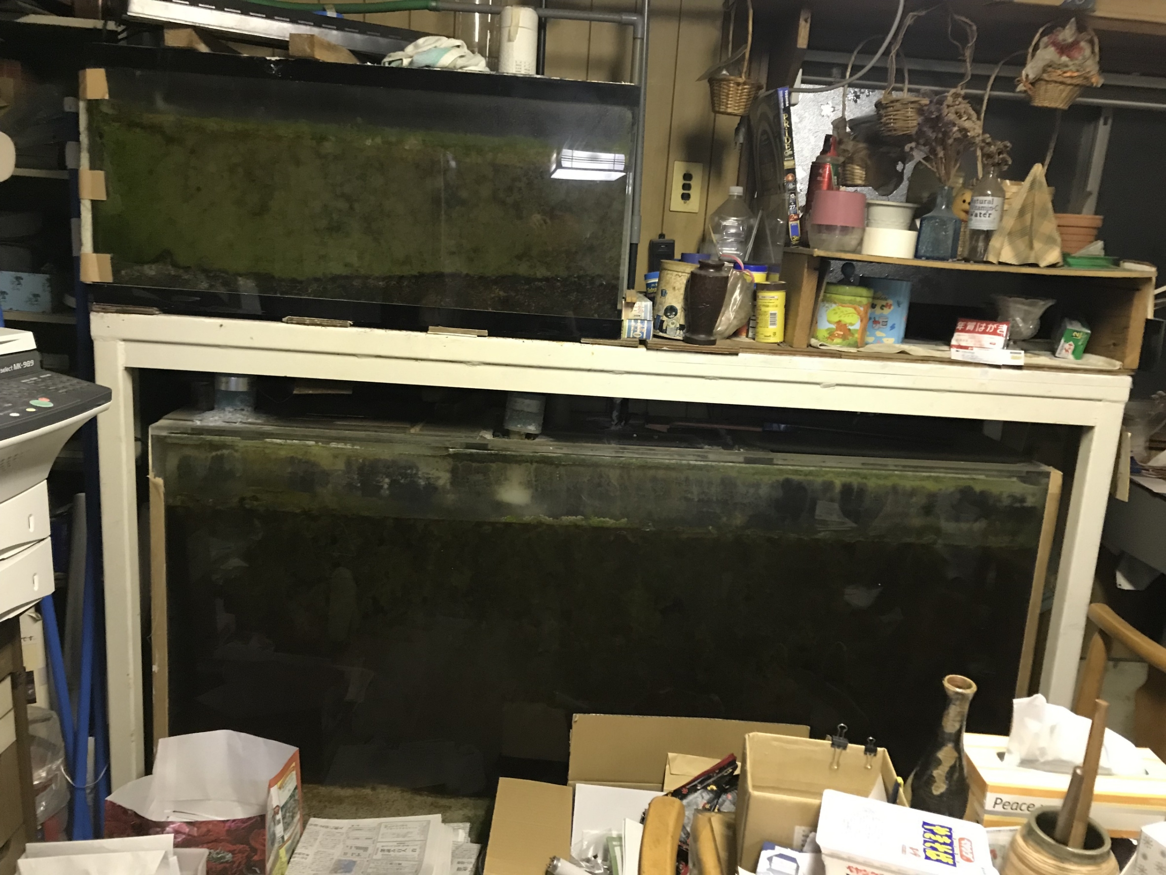 千葉県千葉市のお客様宅へ180cmオーバーフロー水槽セット解体・撤去サービスにお伺いさせて頂きました